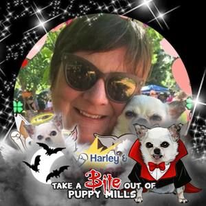 Meet your Posher, Sandy